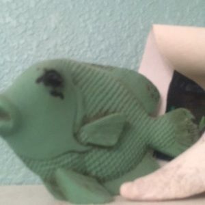 Meet your Posher, Steven